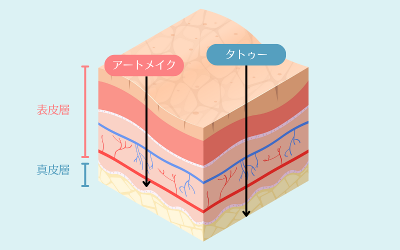 アートメイクとタトゥーの色素位置